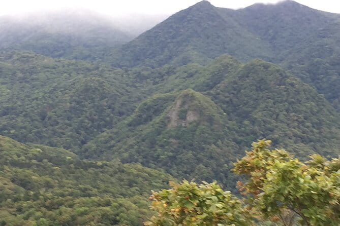 Green Season Half Day Hikes in Sapporo and Hokkaido With Onsen - Rejuvenating in the Onsen After the Hike