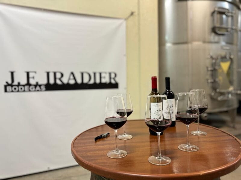 Guided Tour of Bodegas J.F. Iradier, Rioja Alavesa - Tour Overview and Pricing