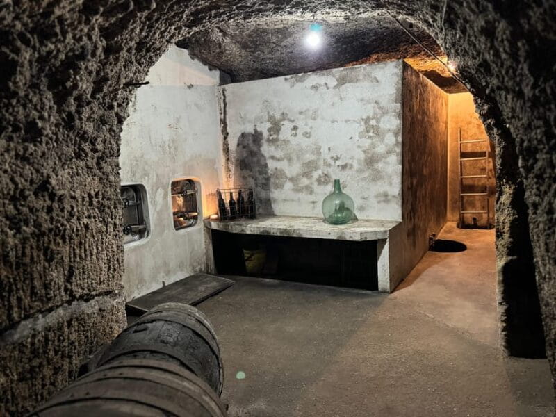 Guided Tour of Bodegas J.F. Iradier, Rioja Alavesa - Tour Highlights