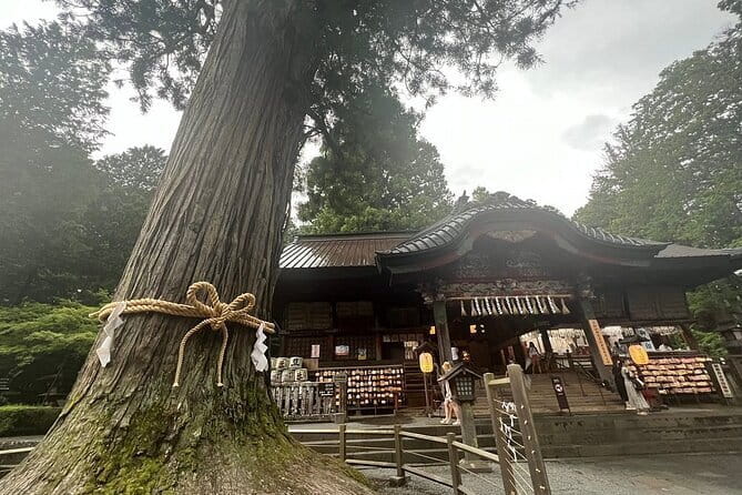 Hakone Mt. Fuji Tour by Car With Pickup and Drop off From Tokyo - Tour Overview and Details