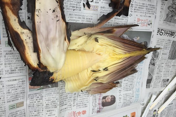 Harvest Experience (Rural Cuisine Using Seasonal Vegetables) - Accessibility Considerations