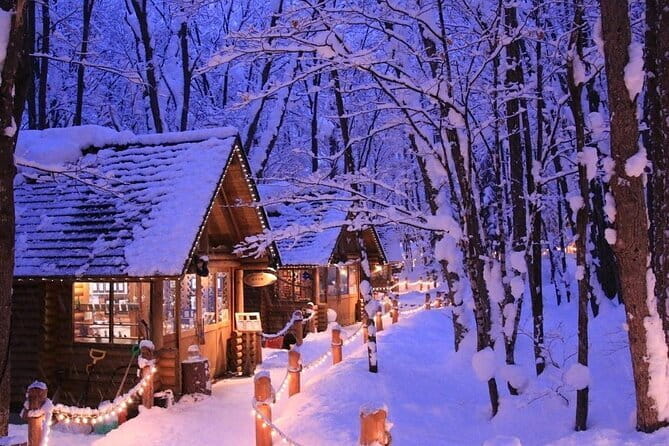 Hokkaido Day Trip From Sapporo: Asahiyama Zoo to Ningle Terrace - Exploring Ningle Terrace