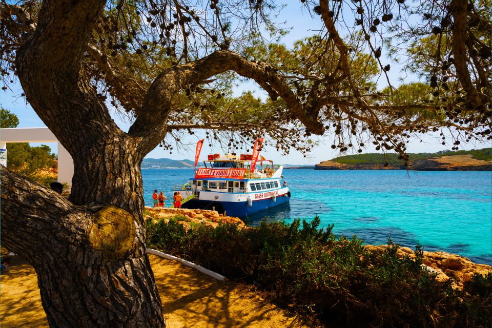 Ibiza: Beach Hopping Cruise W/ Paddleboard, Food, & Drinks - Key Points