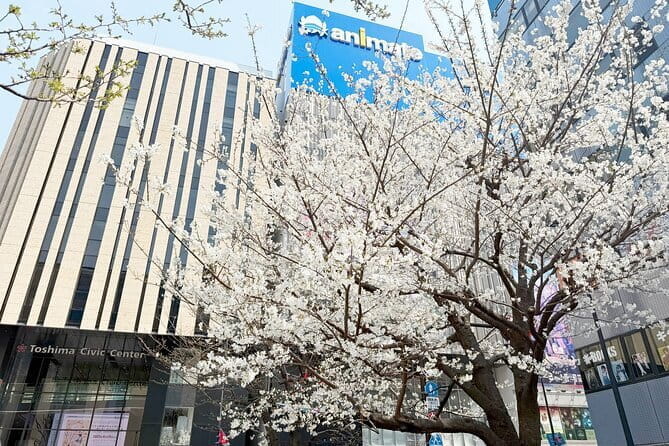 Ikebukuro Anime and Game Culture Experience Tour - Overview of the Tour