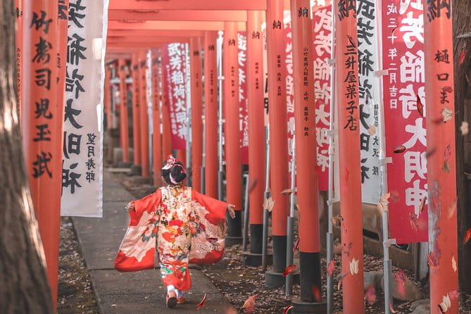 Introductory Tokyo Tour for the First Timers: Learn Basic Travel Tips and Tricks - Best Times to Visit Tokyo