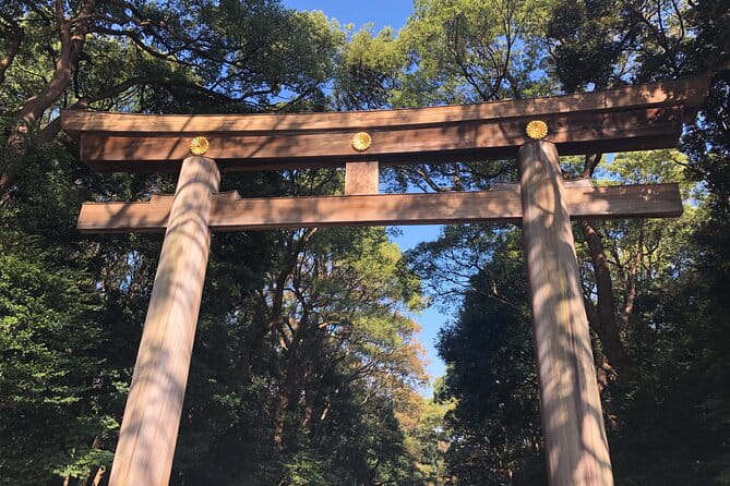 Introductory Tokyo Tour for the First Timers: Learn Basic Travel Tips and Tricks - How to Customize Your Tour Experience