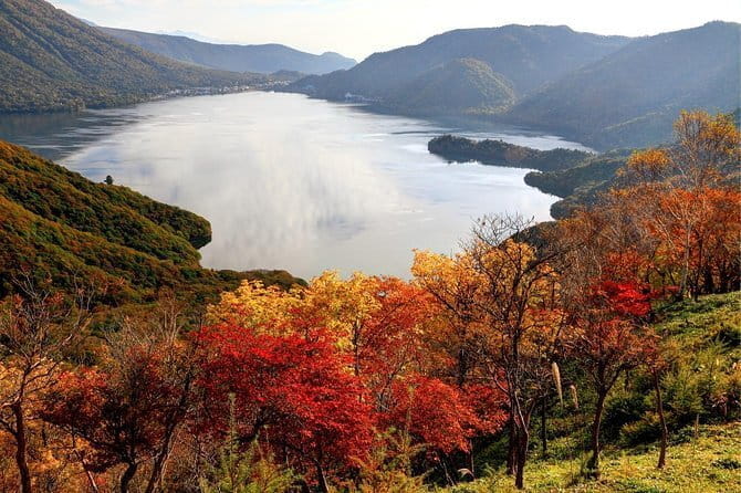 Kamakura Walking Tour With Local Guide Including Hokokuji Temple - Highlights of the Kamakura Walking Tour