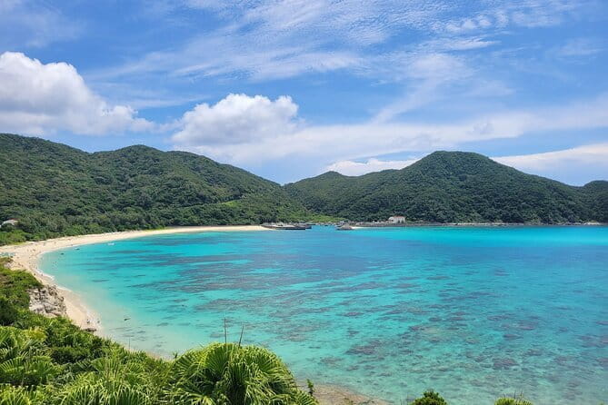 Kerama Tokashiki Island and Whale Watching Tour - Overview of the Tour