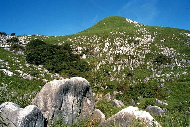 Kitakyushu Half-Day Private Trip With Government-Licensed Guide - Transportation and Accessibility