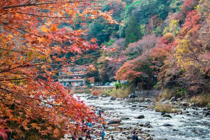 Korankei Gorge Number 1 Autumn Colors View Spot - Booking Information