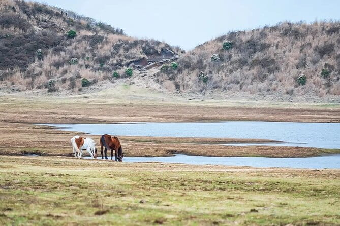 Kumamoto Castle Kusasenri Aso Crater and Aso Boys Scenic Train - The Sum Up