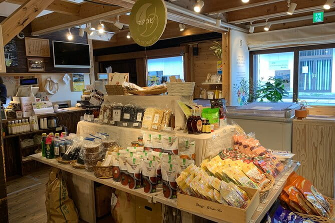 Kumamoto Castle Town Walking Tour With Local Guide - Local Insights and Cultural Experiences