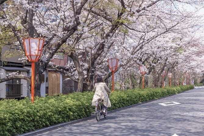 Kyoto E-Bike Tour - Tour Overview