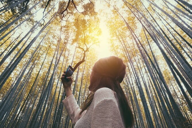 Kyoto Highlights: With Nijo Castle Ticket & Bamboo Forest - Booking and Cancellation Policies