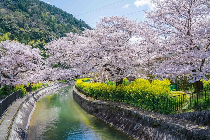 Kyoto Hihashiyama E-Bike Tour *Private, Pick up From/To Hotel - Key Points