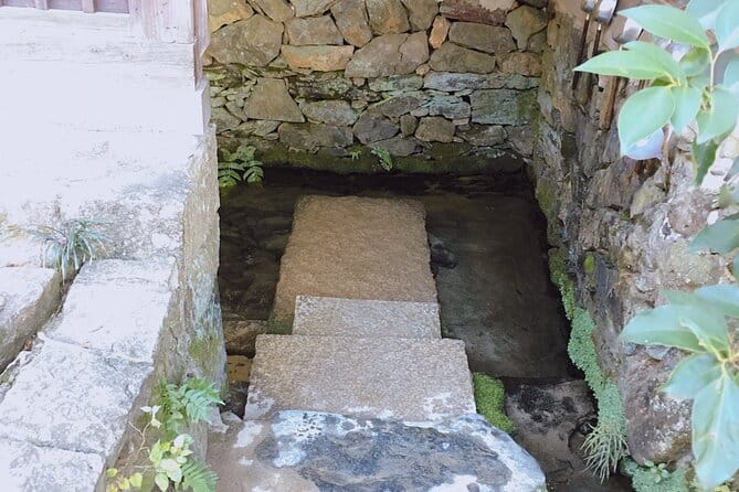 Kyoto Tea Town for Matcha Lovers - Savoring the Flavors of Chasoba and Umami Dishes