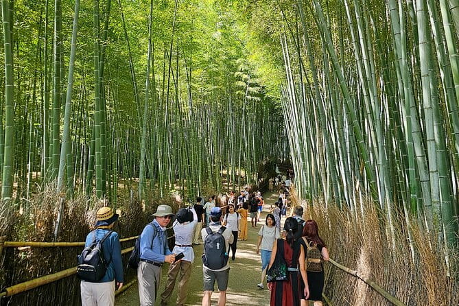Kyotos Arashiyama Bamboo Grove: 3-Hour Guided Tour - Exploring the Bamboo Grove