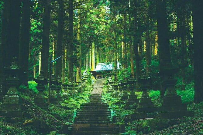 Kyushu Day Trip to Takachiho Gorge and Shrines From Fukuoka - Accessibility Options for Travelers