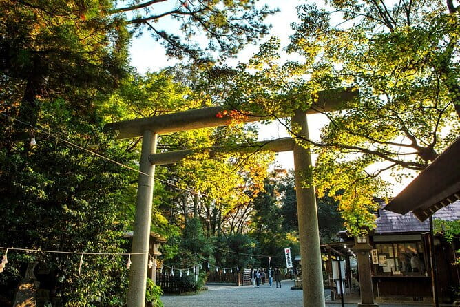 Kyushu Day Trip to Takachiho Gorge and Shrines From Fukuoka - Important Guidelines for Participants