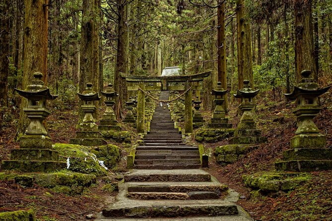 Kyushu Kamishiromi Shrine, Amano Iwato, and Takachiho Gorge Tour - Booking Information