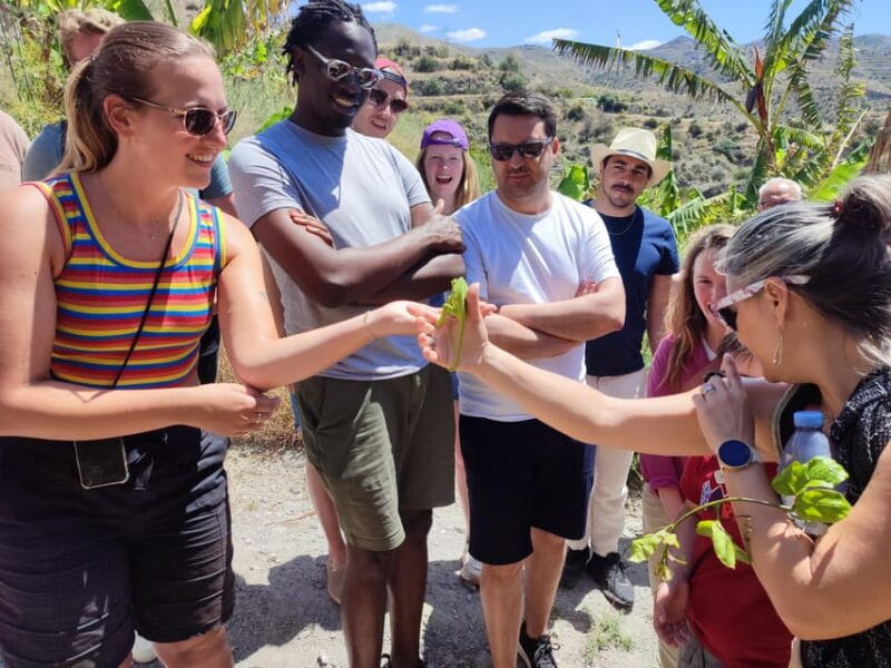 La Herradura Coffee Farm: Tour in Europe's Only Plantation - Accessibility Information