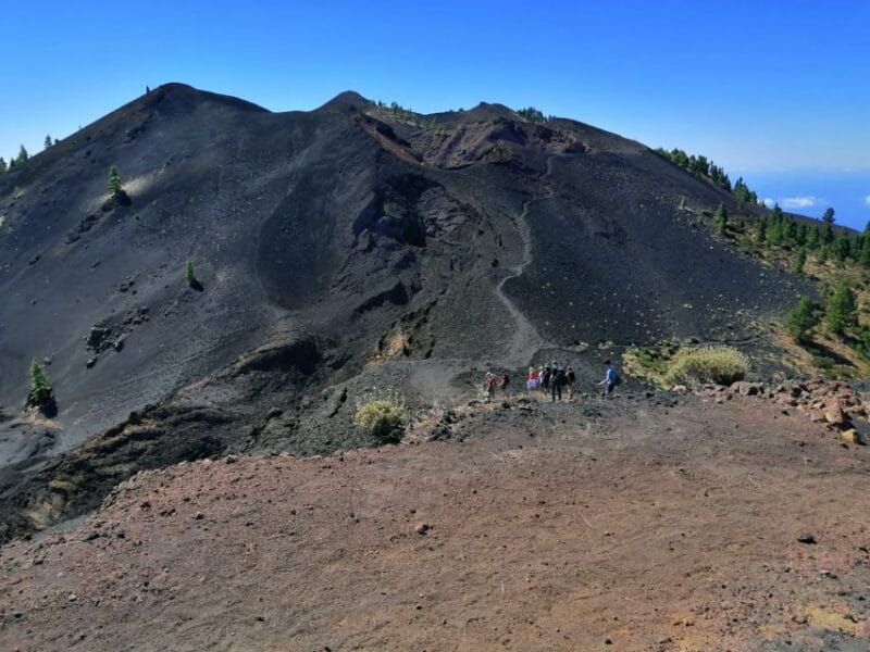 La Palma: Guided Trekking Tour to Volcanoes South - Natural and Geological Features