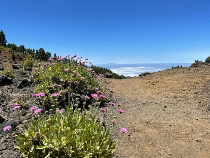 La Palma: Guided Trekking Tour to Volcanoes South - Preparation for the Trek