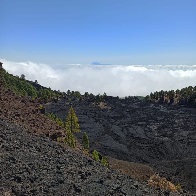La Palma: Guided Trekking Tour to Volcanoes South - Best Time to Visit