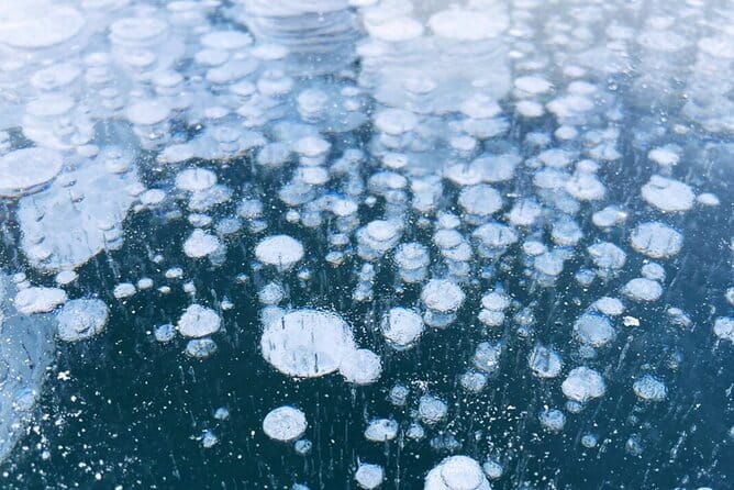 Lake Nukabira Smelt Fishing Private Tour - The Sum Up