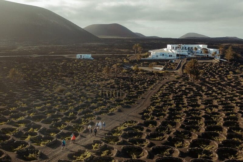 Lanzarote: Vineyard Tour With Wine and Chocolate Tasting - Key Points