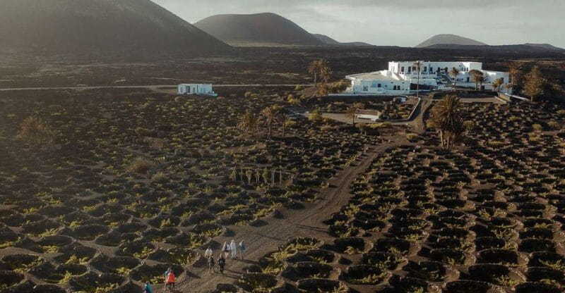 Lanzarote: Vineyard Tour With Wine and Chocolate Tasting - Tour Overview