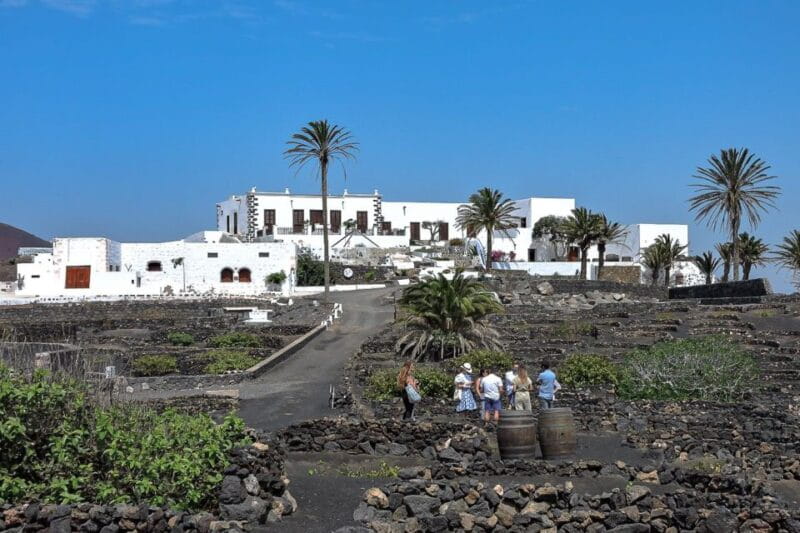 Lanzarote: Vineyard Tour With Wine and Chocolate Tasting - Vineyard Exploration