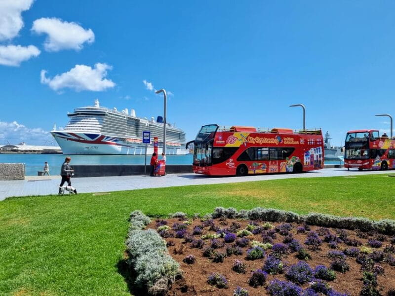 Las Palmas: City Sightseeing Hop-On Hop-Off Bus Tour - Highlights of the Experience