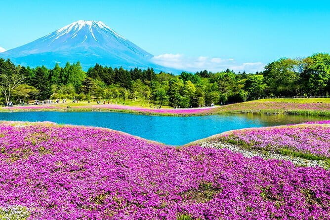 Learnig History of Tokyo in Depth With a Certified Tour Guide - Tips for an Enjoyable Tour Experience