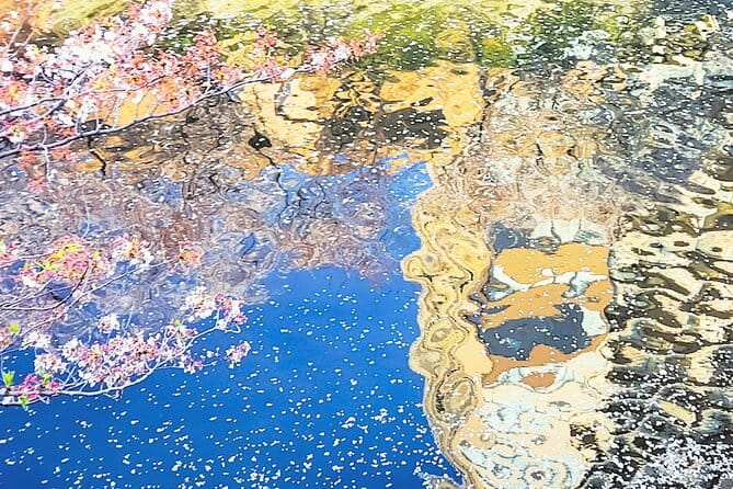 Licensed Guide Tokyo Meguro Cherry Blossom Walking Tour - Traveler Feedback: Positive Comments