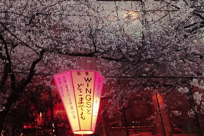 Licensed Guide Tokyo Meguro Cherry Blossom Walking Tour - Traveler Feedback: Negative Feedback