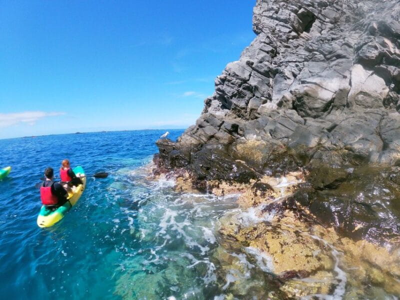 Los Cristianos: Kayak and Snorkel With Turtles and Photos - Meeting Point