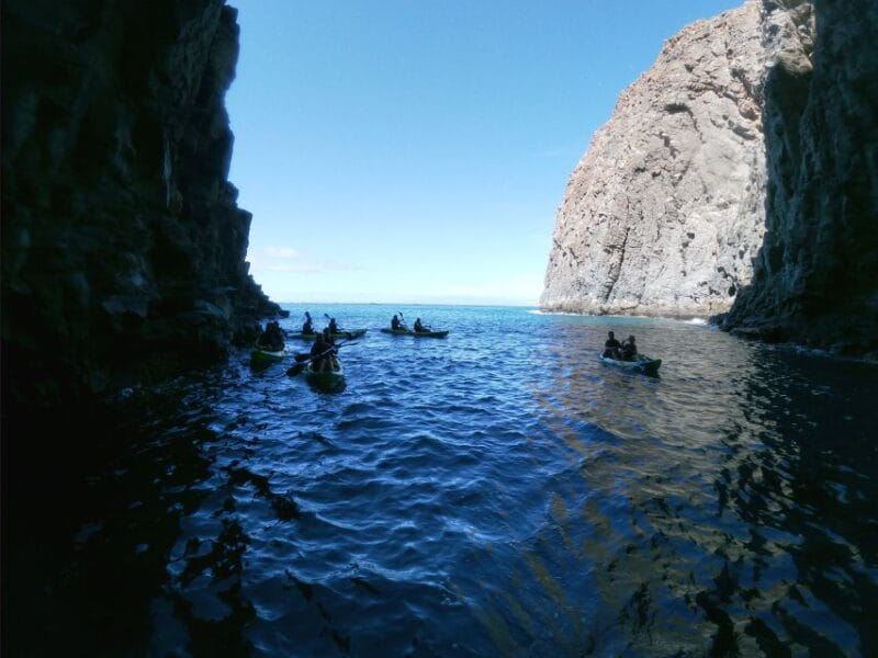 Los Cristianos: Kayak and Snorkel With Turtles and Photos - Things To Known
