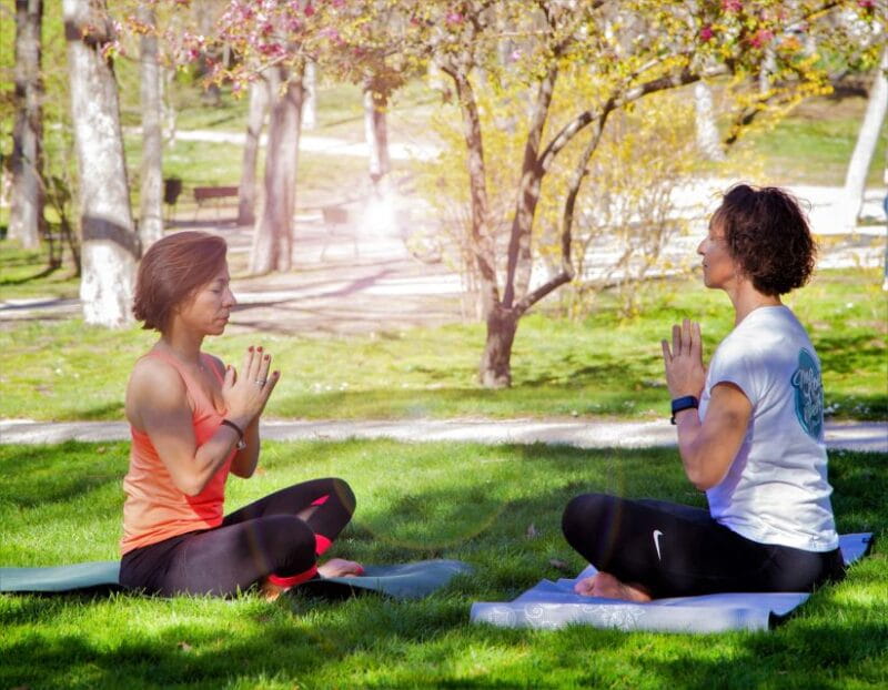 Madrid: Flow Yoga Class in Retiro Park - Experience Highlights