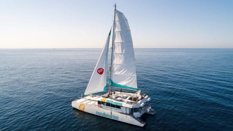 Malaga: Sailing Catamaran With Swimming and Paella Lunch - Swimming and Snorkeling Opportunities