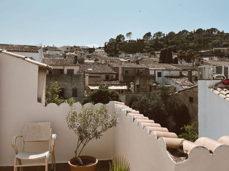 Mallorca: Gastronomic Wine Tasting & Local Delicacies - Non-alcoholic Alternatives