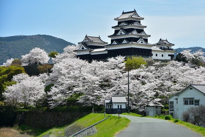 Matsuyama Private Customizable Half Day Tour - Meeting and Pickup Details