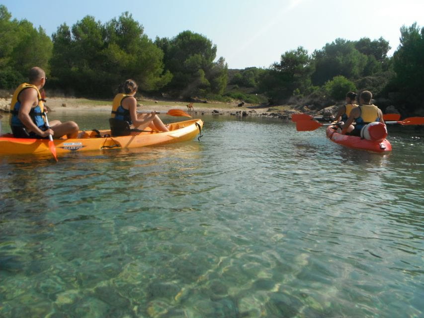 Menorca: Half-Day Kayak Excursion in Fornells - Booking and Cancellation Policy
