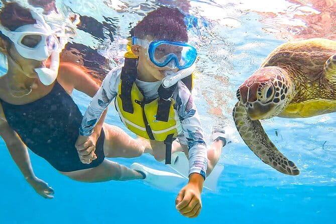 Miyako Two Activities in Half Day SUP and Sea Turtle Snorkeling - Whats Included in the Tour