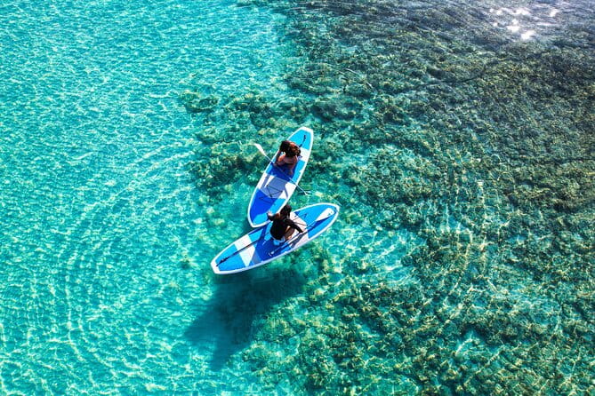 Miyako Two Activities in Half Day SUP and Sea Turtle Snorkeling - Customer Reviews and Ratings