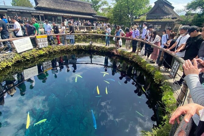 Mount Fuji Customizable One Day Private Guided Tour From Tokyo - Tour Overview