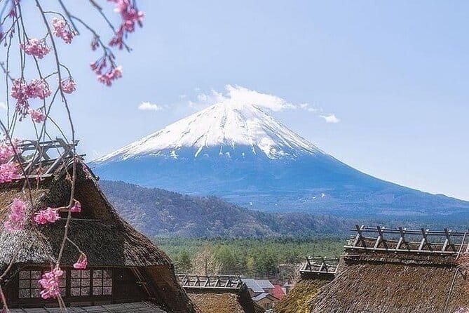 Mount Fuji Customizable One Day Private Guided Tour From Tokyo - Pickup and Communication