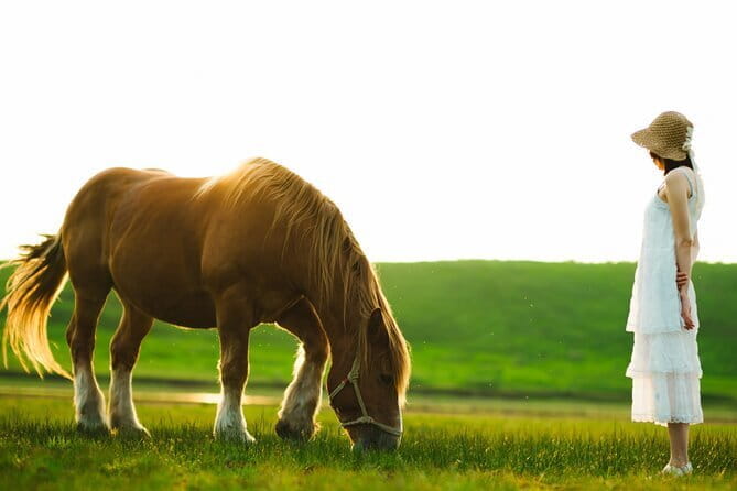 Mt. Aso and Takachiho Gorge 1 Day Highlights Tour From Kumamoto - Tour Overview and Details
