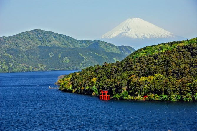 Mt Fuji and Hakone 1-Day Bus Tour Return by Bus - Additional Information