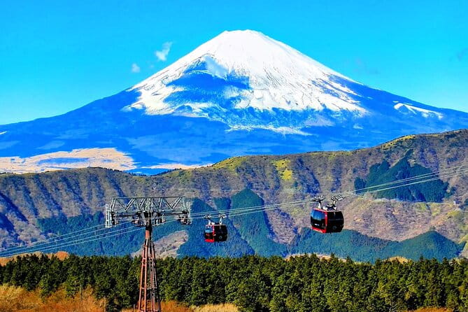 Mt Fuji and Hakone 1-Day Bus Tour Return by Bus - What to Expect on the Tour
